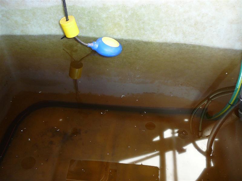 AP-HSMRed _ 14-04-'09 008.jpg