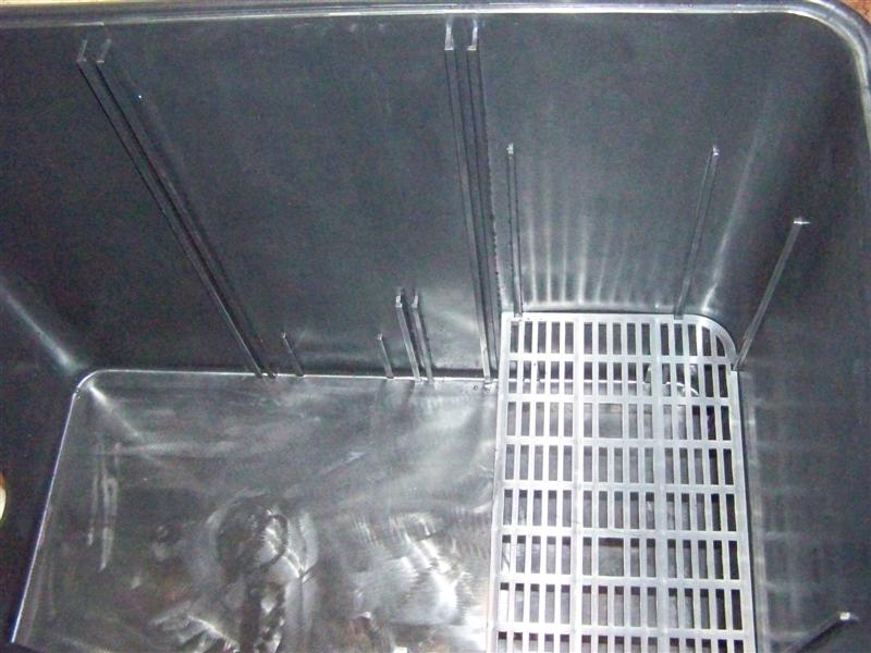 100_2812 (Medium).JPG