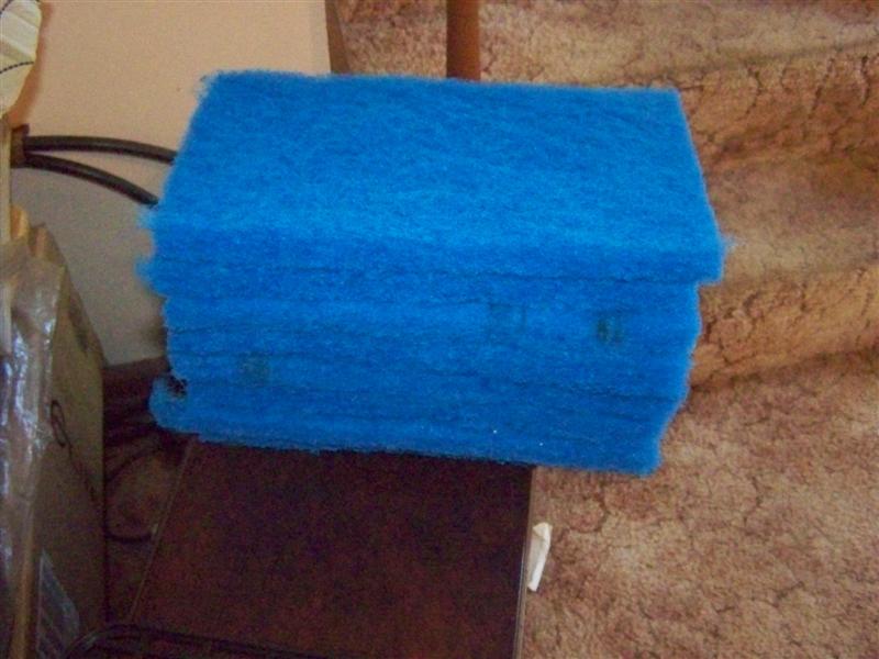 100_2813 (Medium).JPG