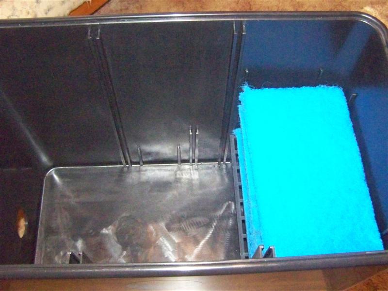 100_2814 (Medium).JPG