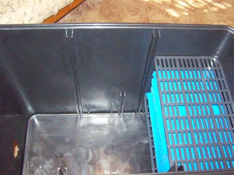 100_2815 (Medium).JPG