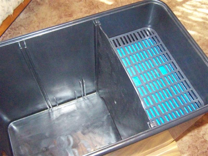 100_2817 (Medium).JPG