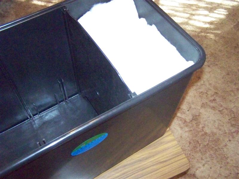 100_2818 (Medium).JPG