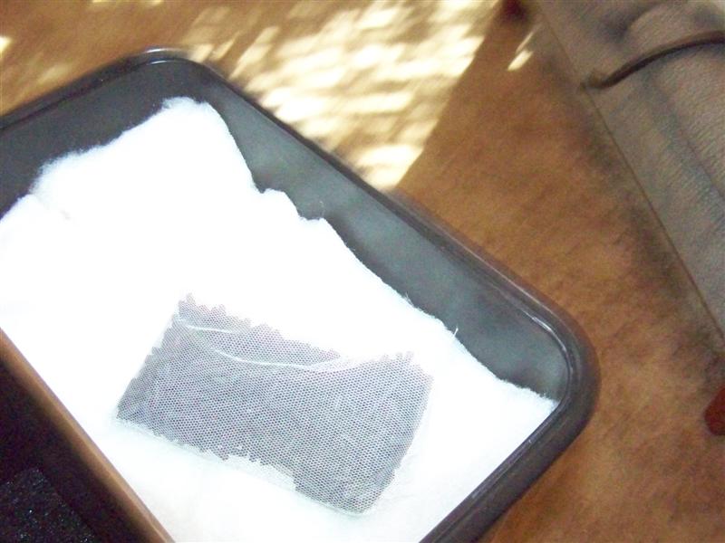 100_2824 (Medium).JPG