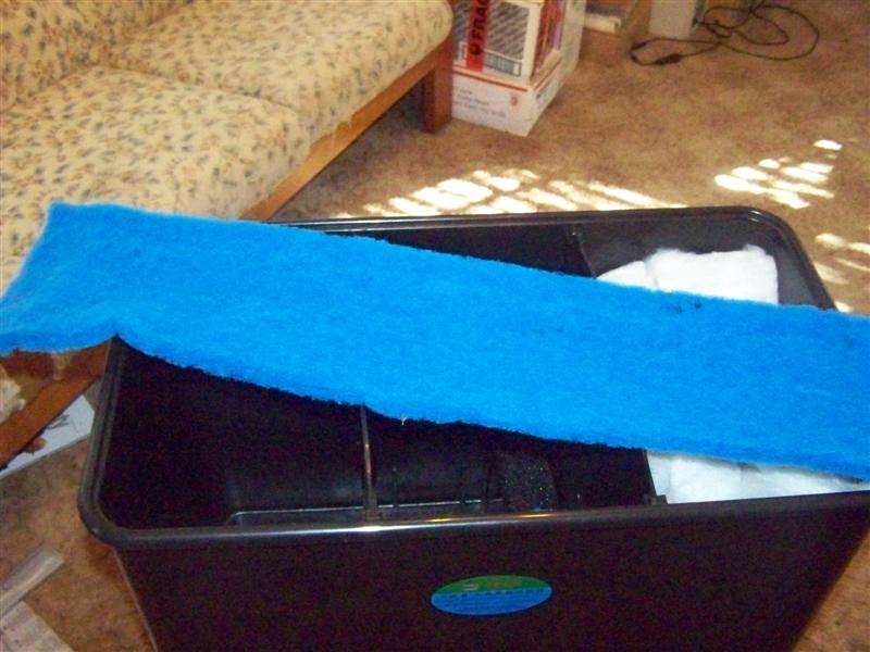 100_2827 (Medium).JPG