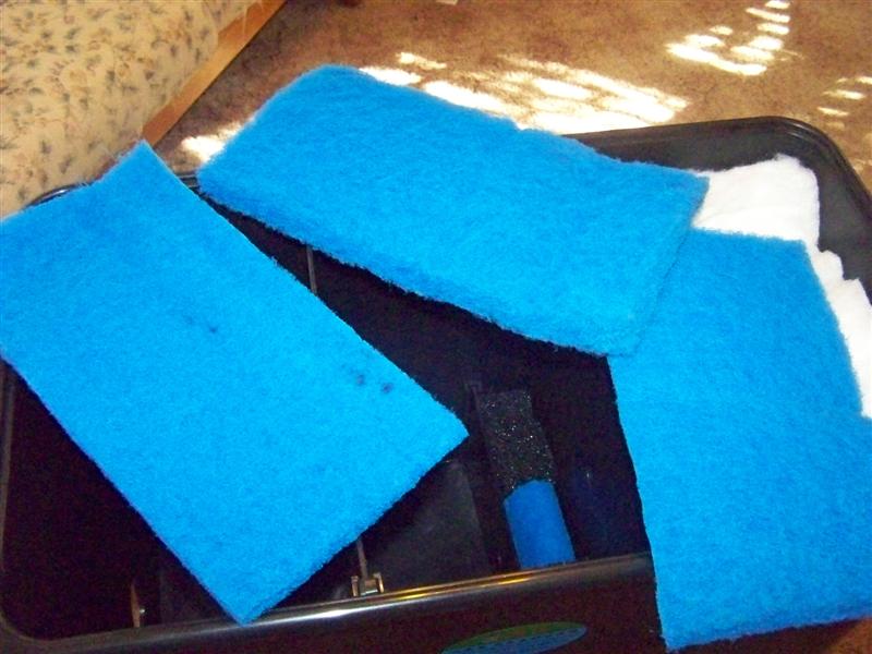 100_2828 (Medium).JPG