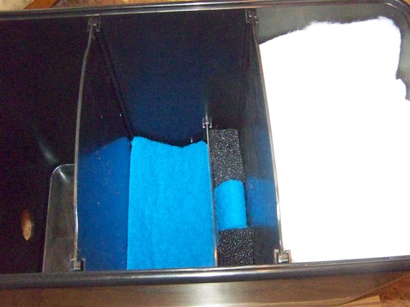 100_2830 (Medium).JPG