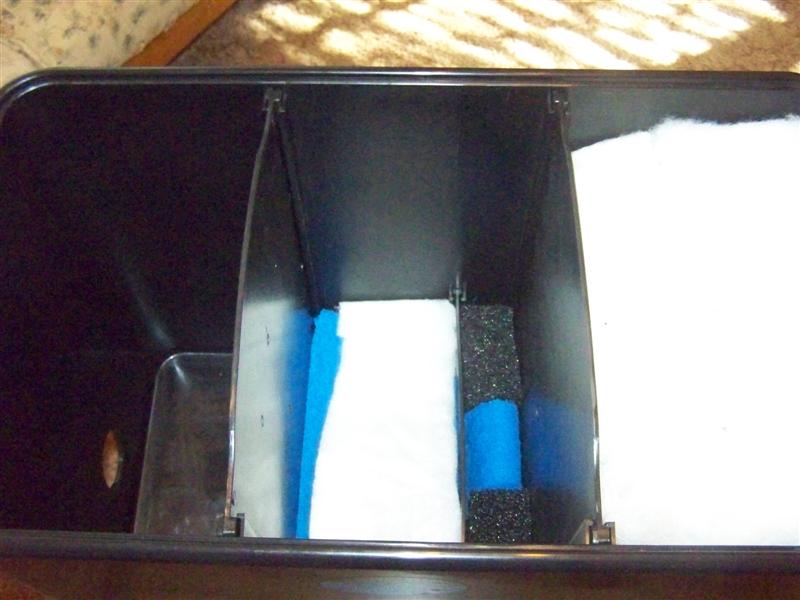 100_2831 (Medium).JPG