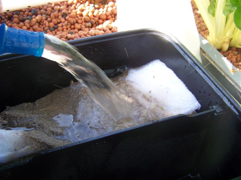 100_2660 (Medium).JPG