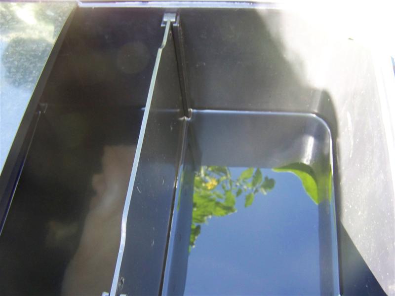 100_2659 (Medium).JPG