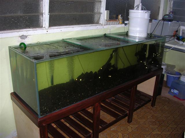 inside barra (1).JPG