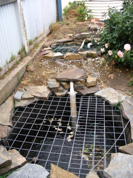 sump and mid-pond.jpg