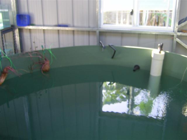 PIC_2415 (Small).JPG