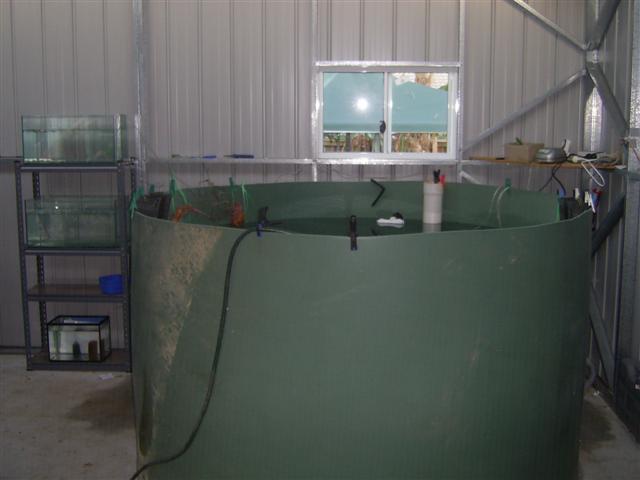 PIC_2429 (Small).JPG