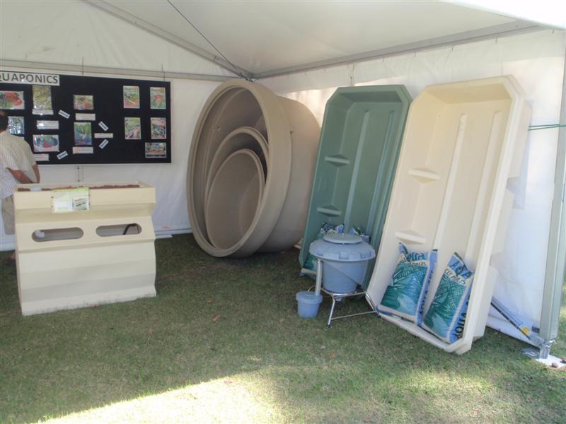 P4160056 (Medium).JPG