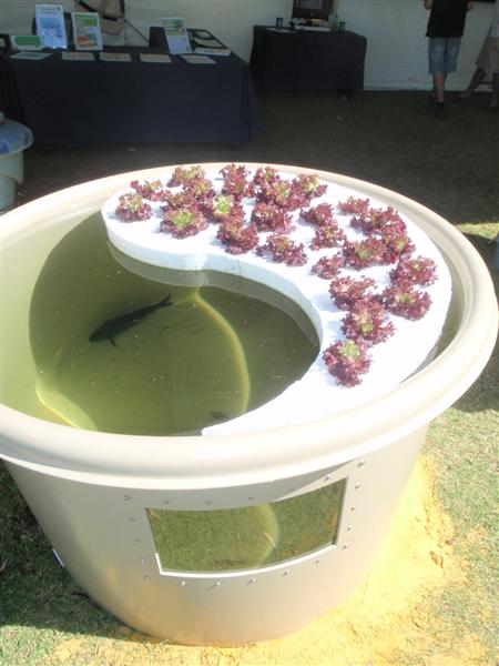 P4160055 (Medium).JPG