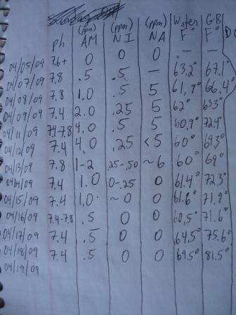 brothers plants 006.JPG