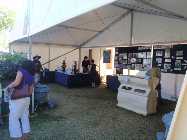 Mitch manning the counter.jpg