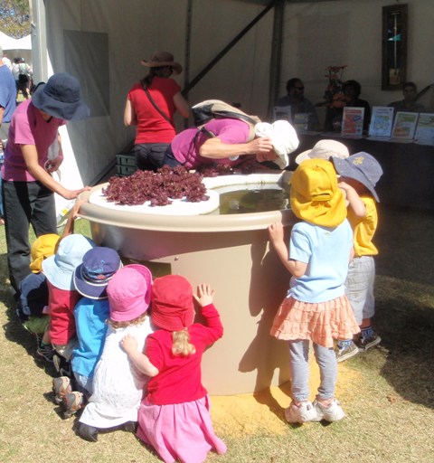 Lovin' the viewing port hole.jpg