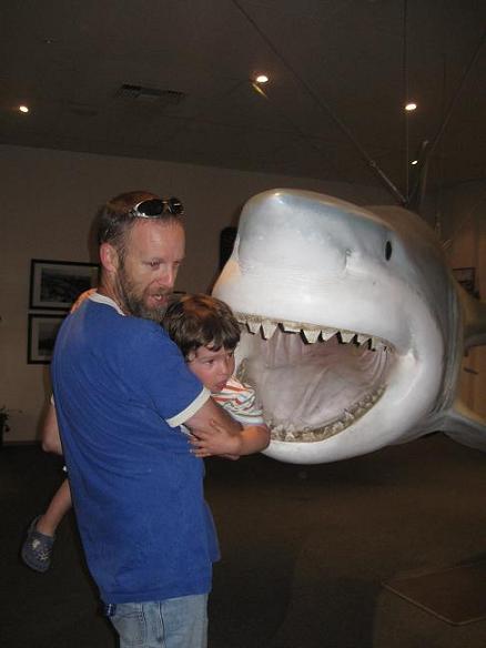 Streaky Bay shark.JPG