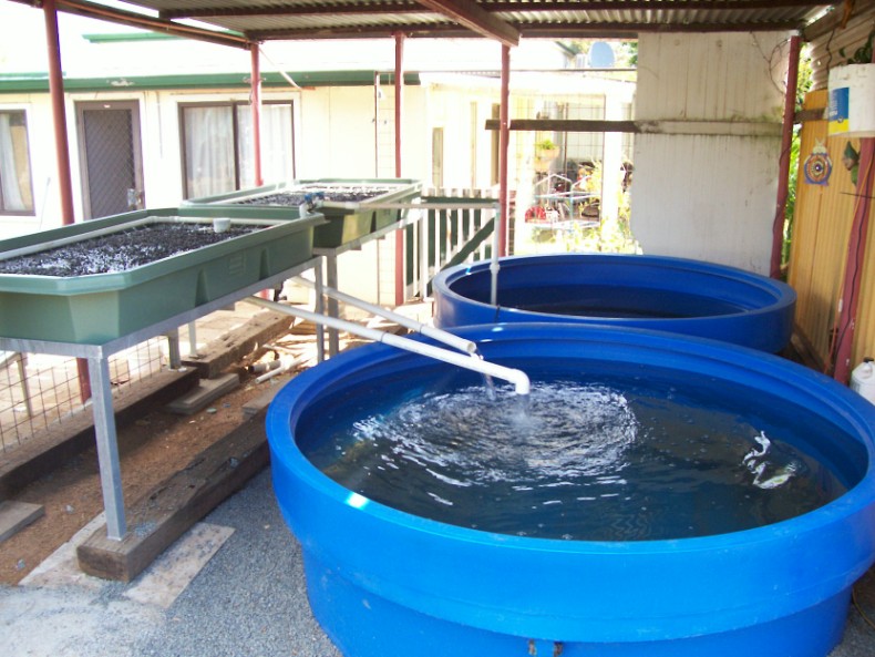 100_0575 (790 x 593).jpg