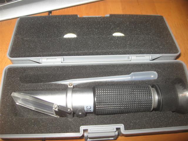 fish 098 (Small).jpg