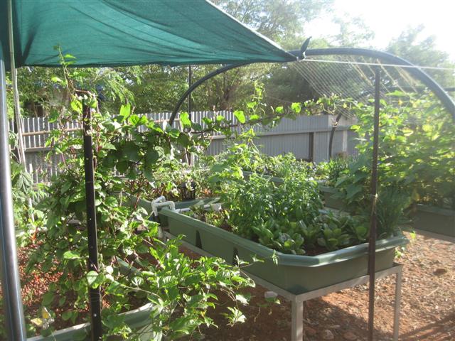 fish 099 (Small).jpg