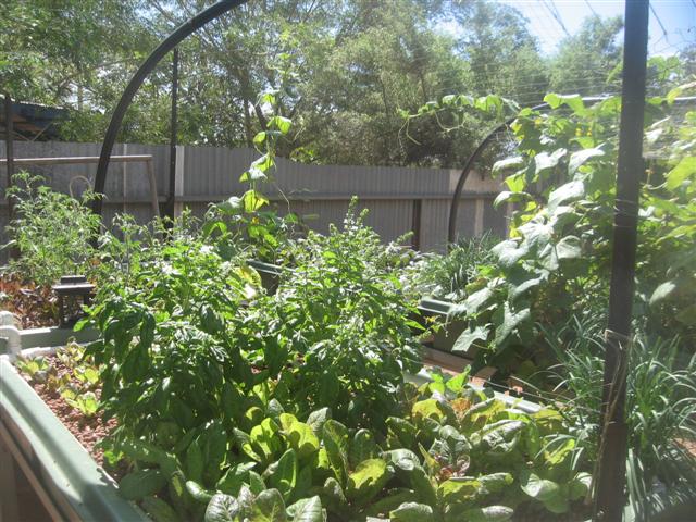 fish 103 (Small).jpg