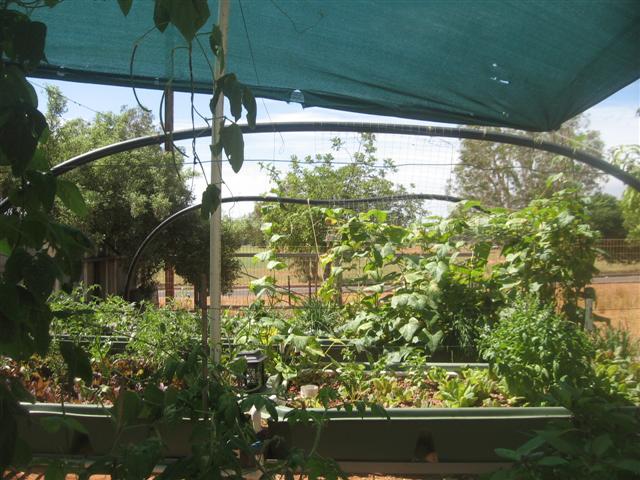 fish 101 (Small).jpg