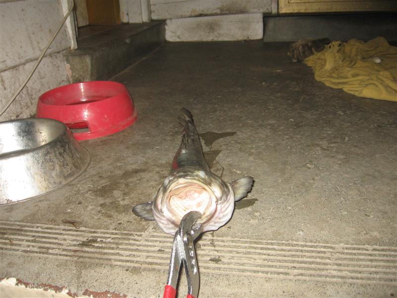 muz 004 (Medium).jpg