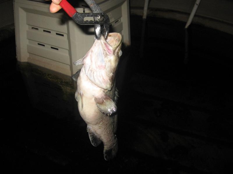 muz 003 (Medium).jpg