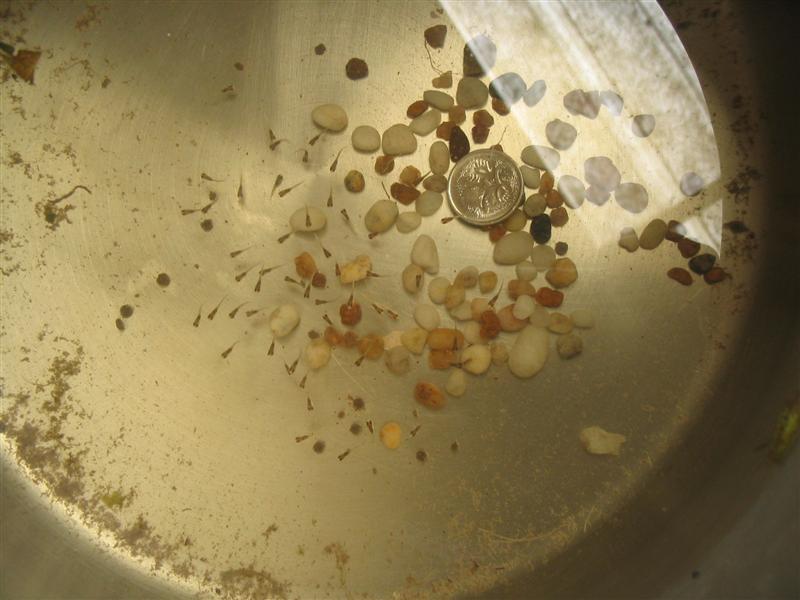 IMG_2016 (Medium).jpg