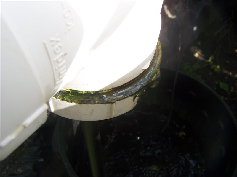 100_2854 (Medium).JPG