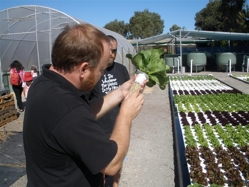 1st may 2009 239 (Medium).jpg