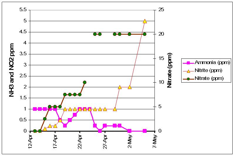 graph 05-05-2009.jpg