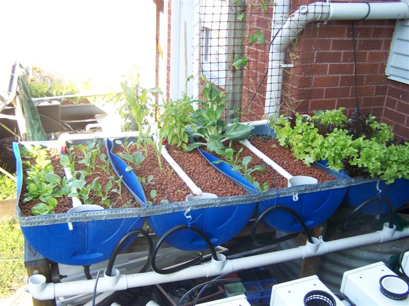 100_2925 (Medium).JPG