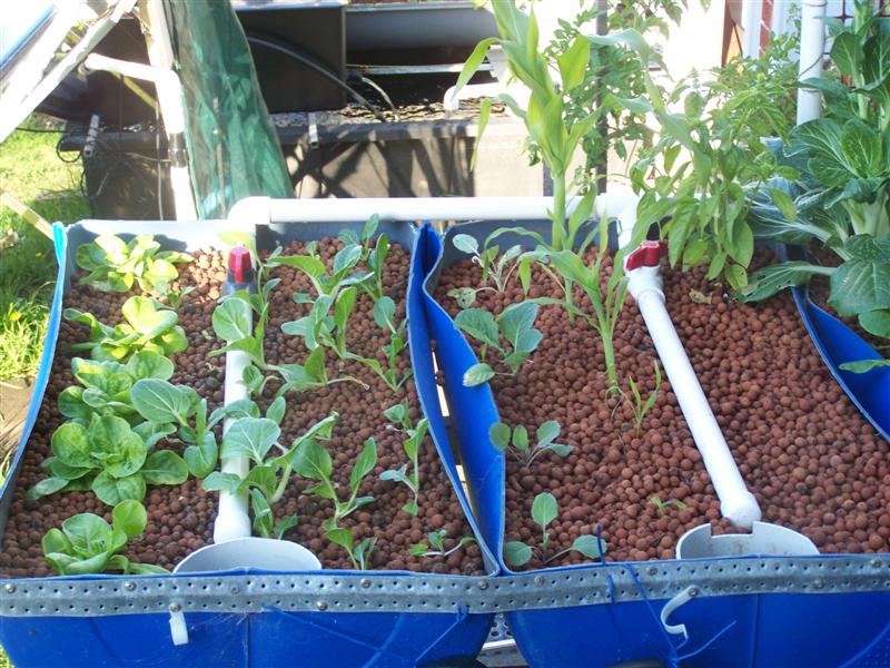 100_2927 (Medium).JPG