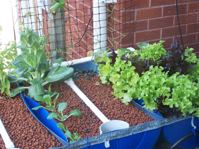 100_2928 (Medium).JPG