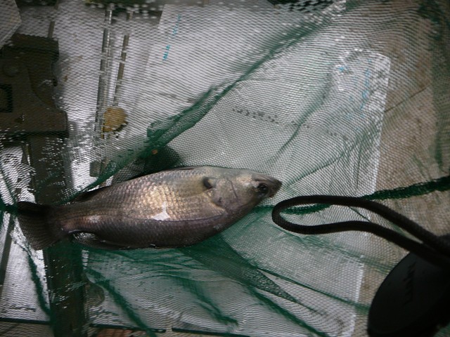 barra photos 029.jpg