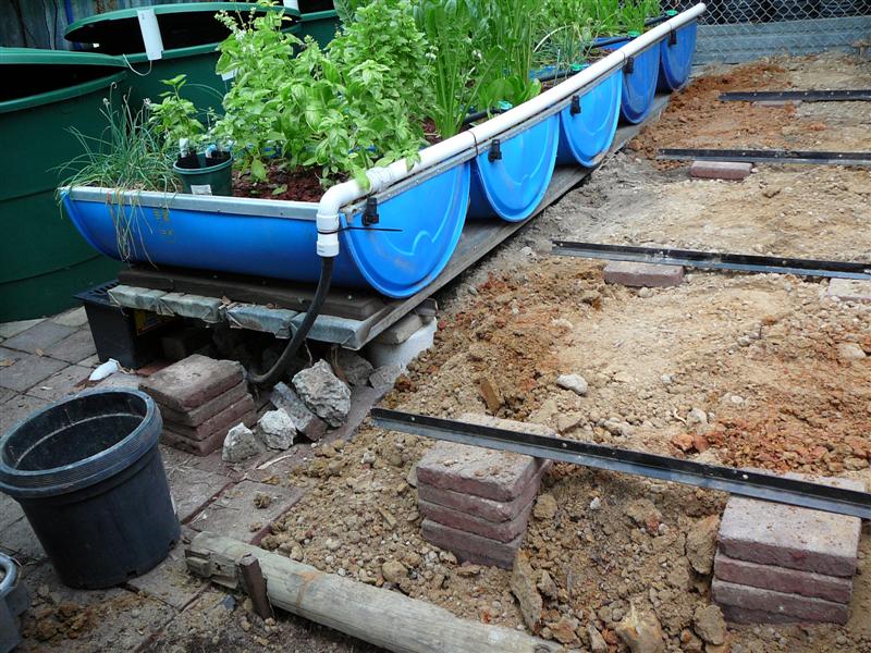 AP-HSM _ 08-05-'09 007 (Medium).jpg