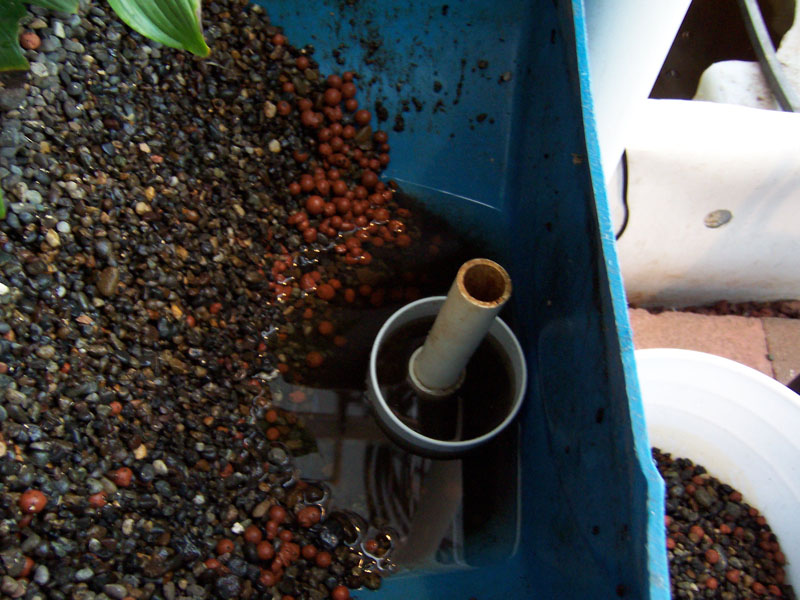 cap and standpipe.jpg