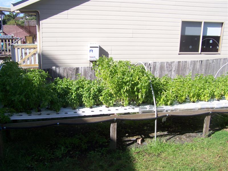 100_2957 (Medium).JPG