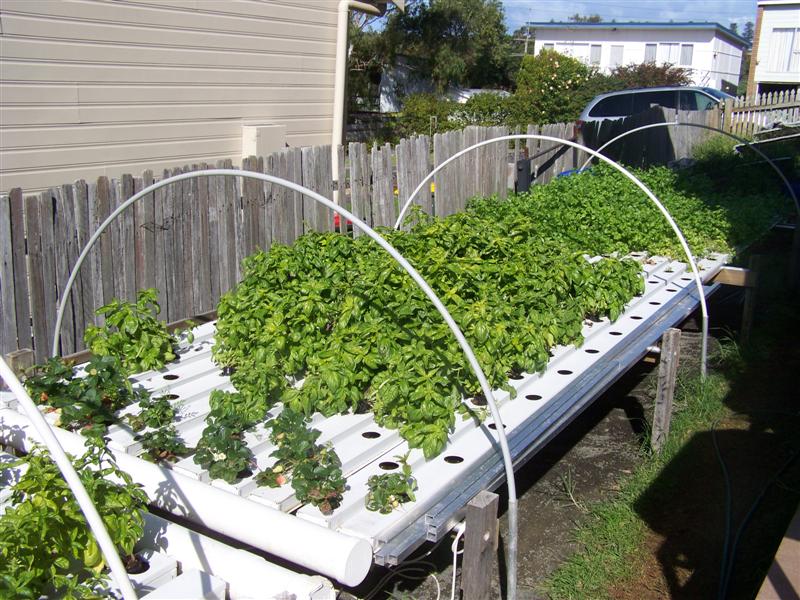 100_2958 (Medium).JPG