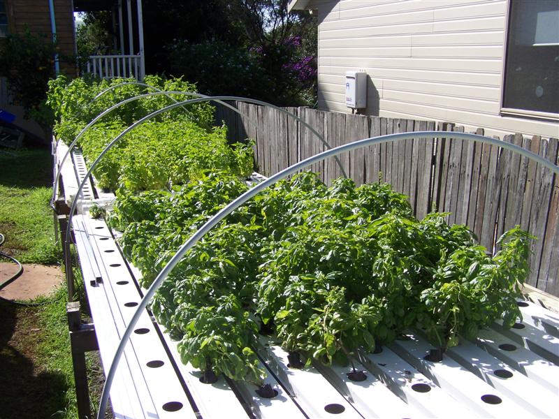 100_2960 (Medium).JPG