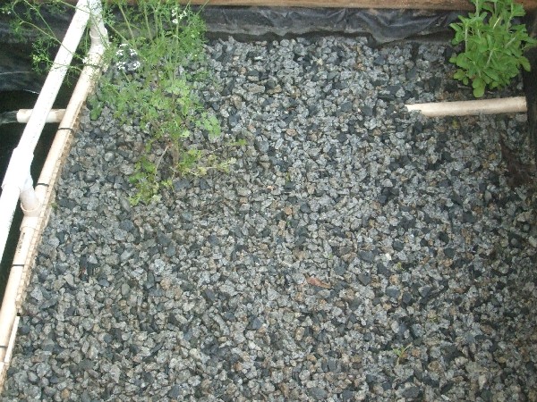 Doug's AP system - tidal bed.JPG