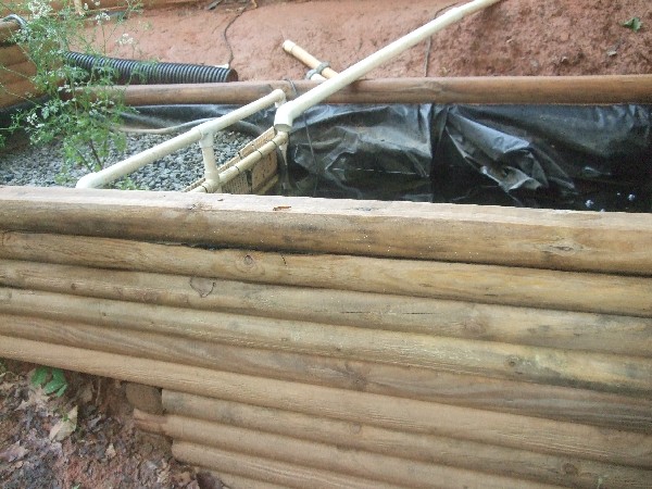 Doug's AP system, pond and tidal bed.JPG