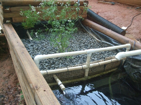 Doug's AP system - draining the main into the FT and tidal bed.JPG