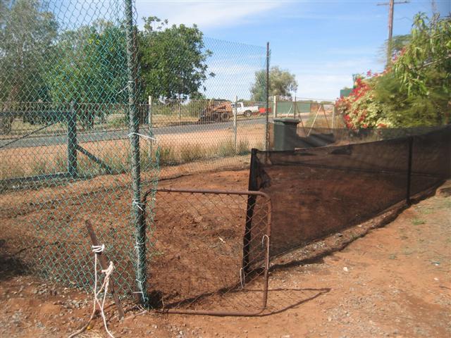 fish 124 (Small).jpg