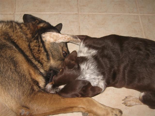 fish 127 (Small).jpg