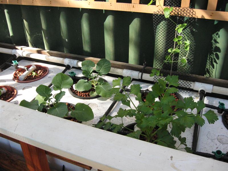 IMG_0121 (Medium).jpg